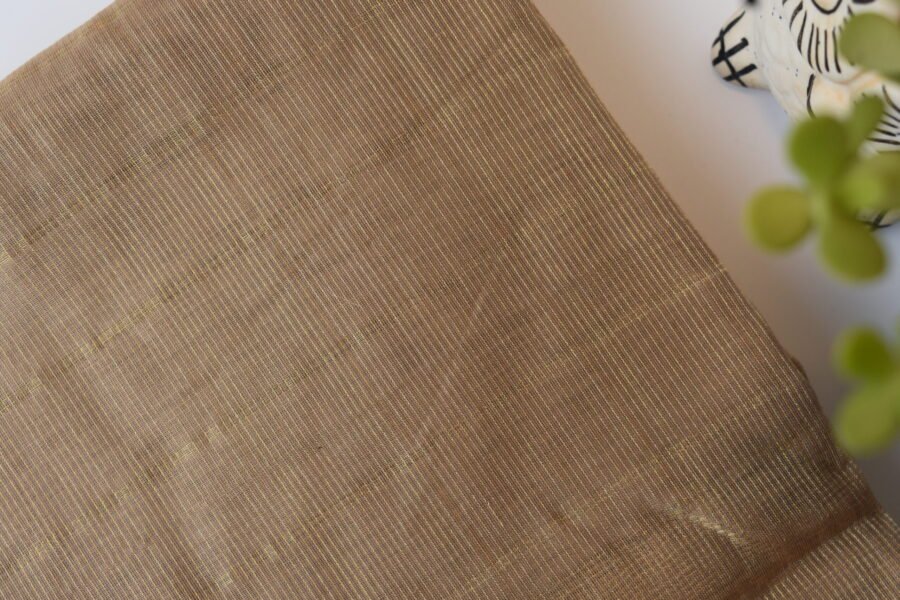 Maheshwari Tissue Beige Dark Saree - Image 11